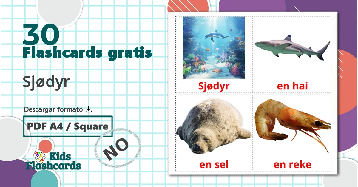 30 tarjetas didacticas de Sjødyr