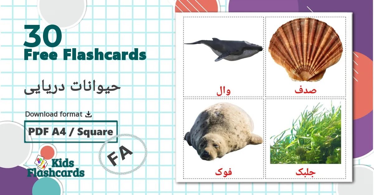 30 حیوانات دریایی flashcards