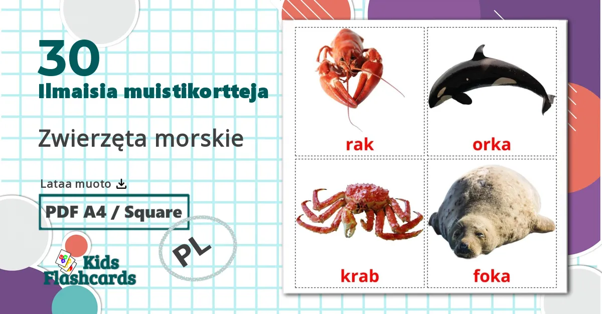 30 Zwierzęta morskie  lasten kuvakortit