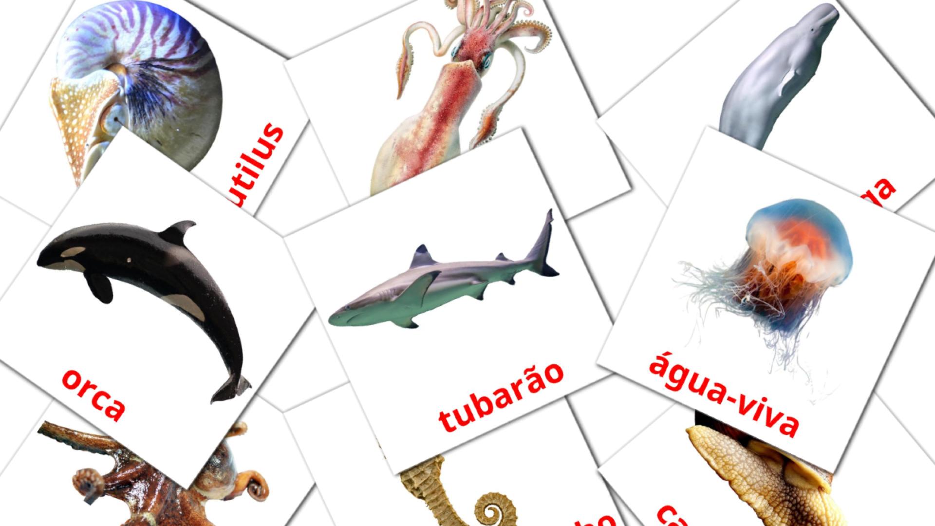 29 Animais Marinhos flashcards