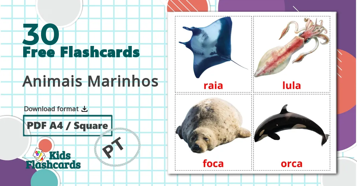 30 Animais Marinhos flashcards