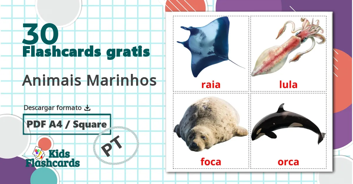 30 tarjetas didacticas de Animais Marinhos