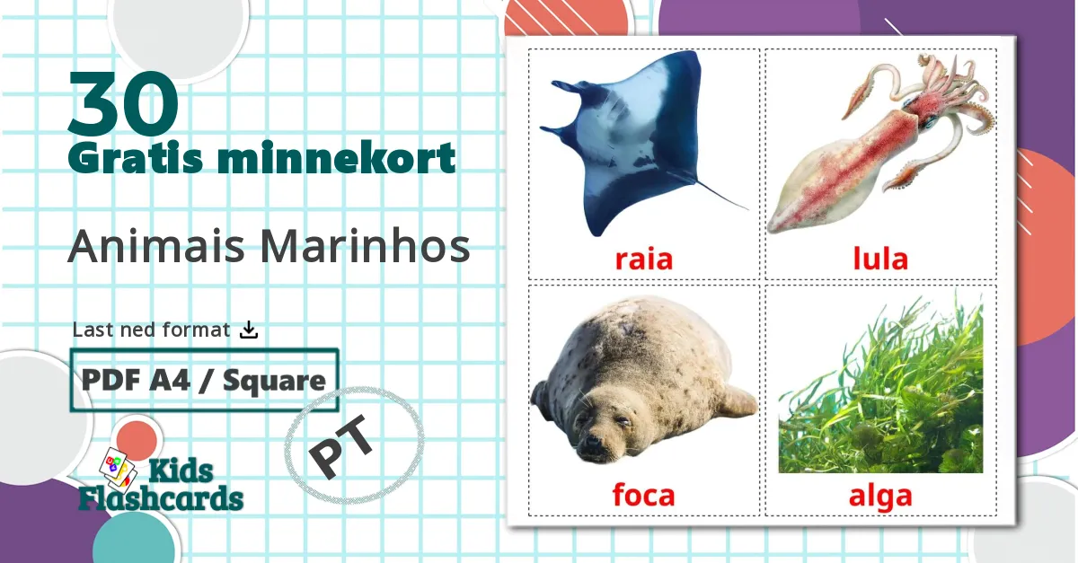 30 Animais Marinhos bildekort