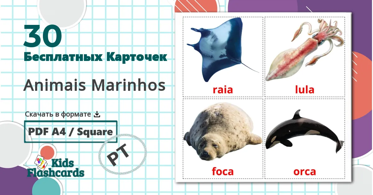 30 Карточки Домана Animais Marinhos