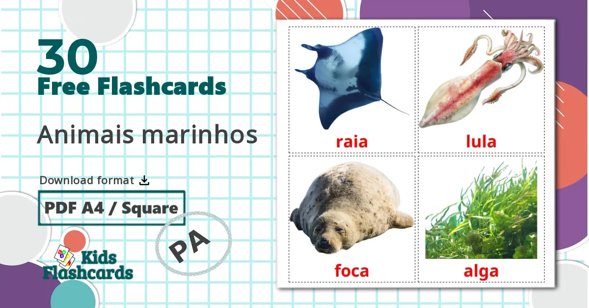 30 Sea animals flashcards