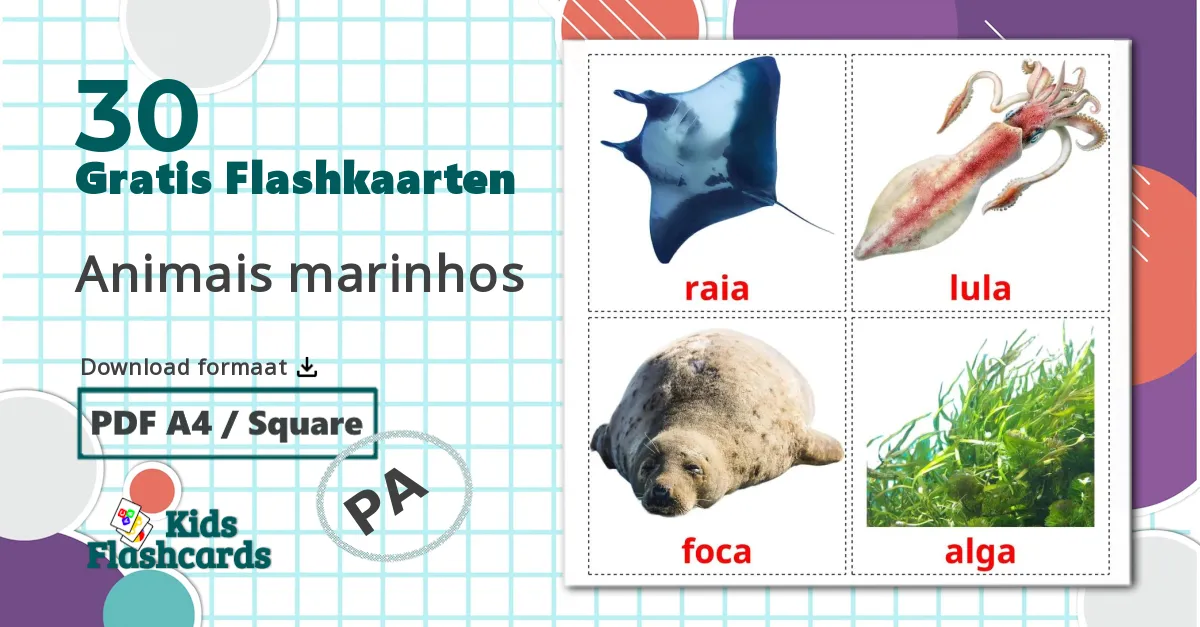 30 Zeedieren Leerkaarten voor kinderen