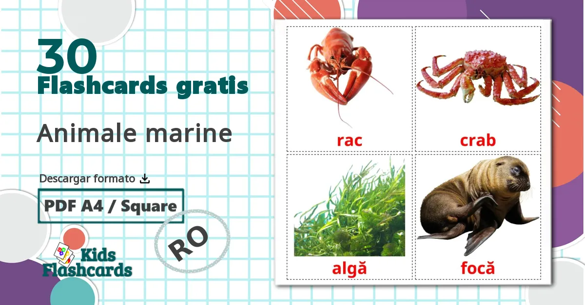 30 tarjetas didacticas de Animale marine