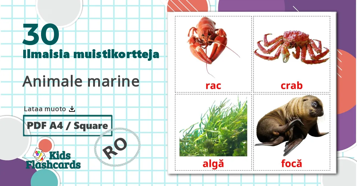 30 Animale marine  lasten kuvakortit