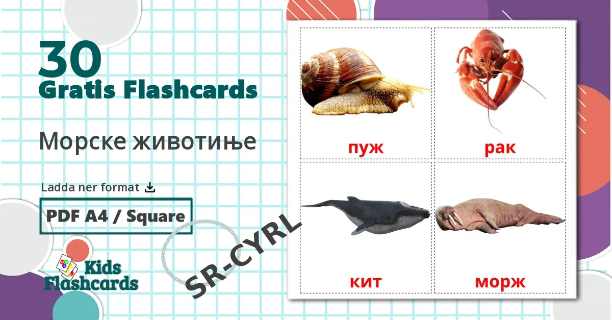 30 Морске животиње bildkort för barn