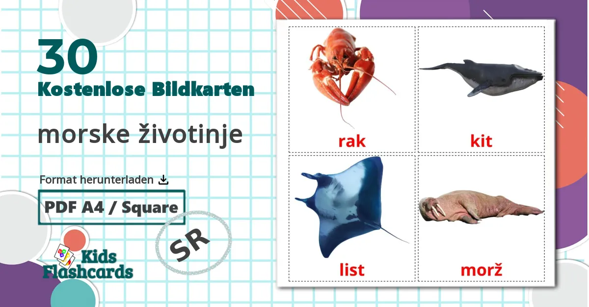 30 Bildkarten für morske životinje