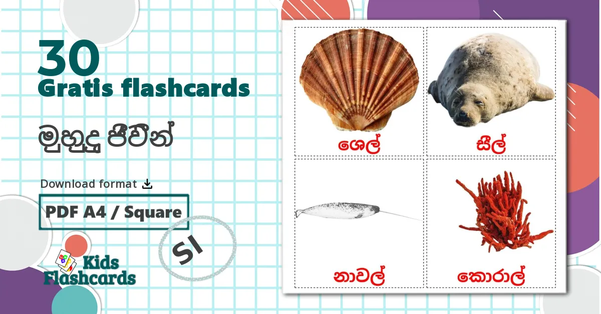 30 මුහුදු ජීවීන් billedkort for børn
