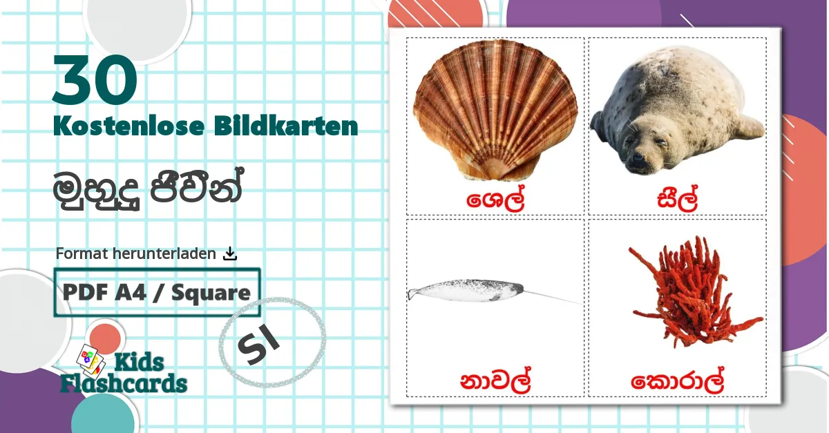 30 Bildkarten für මුහුදු ජීවීන්