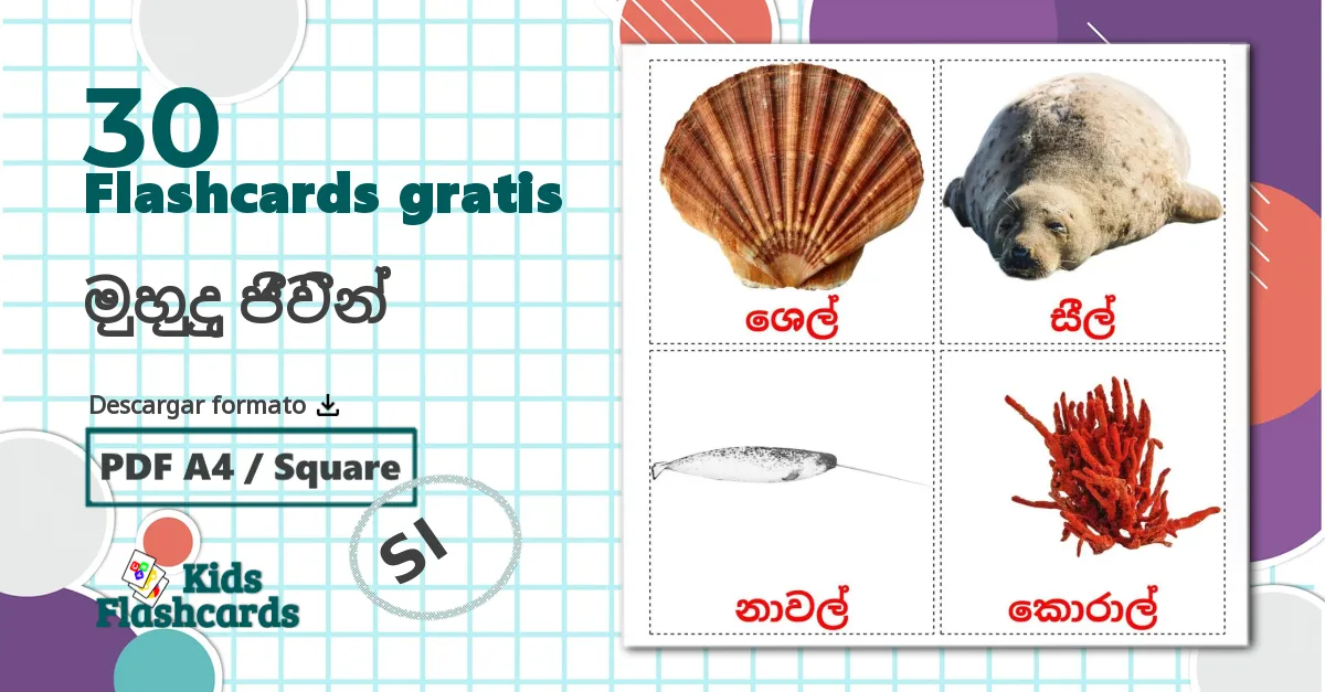 30 tarjetas didacticas de මුහුදු ජීවීන්