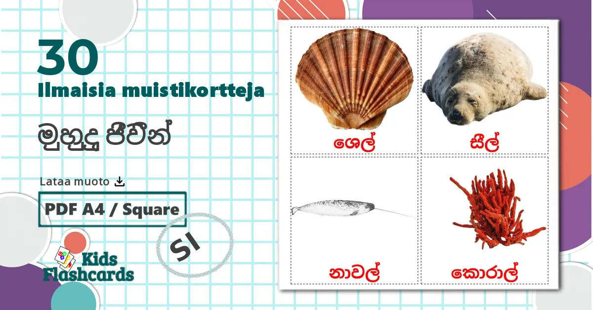 30 මුහුදු ජීවීන් lasten kuvakortit