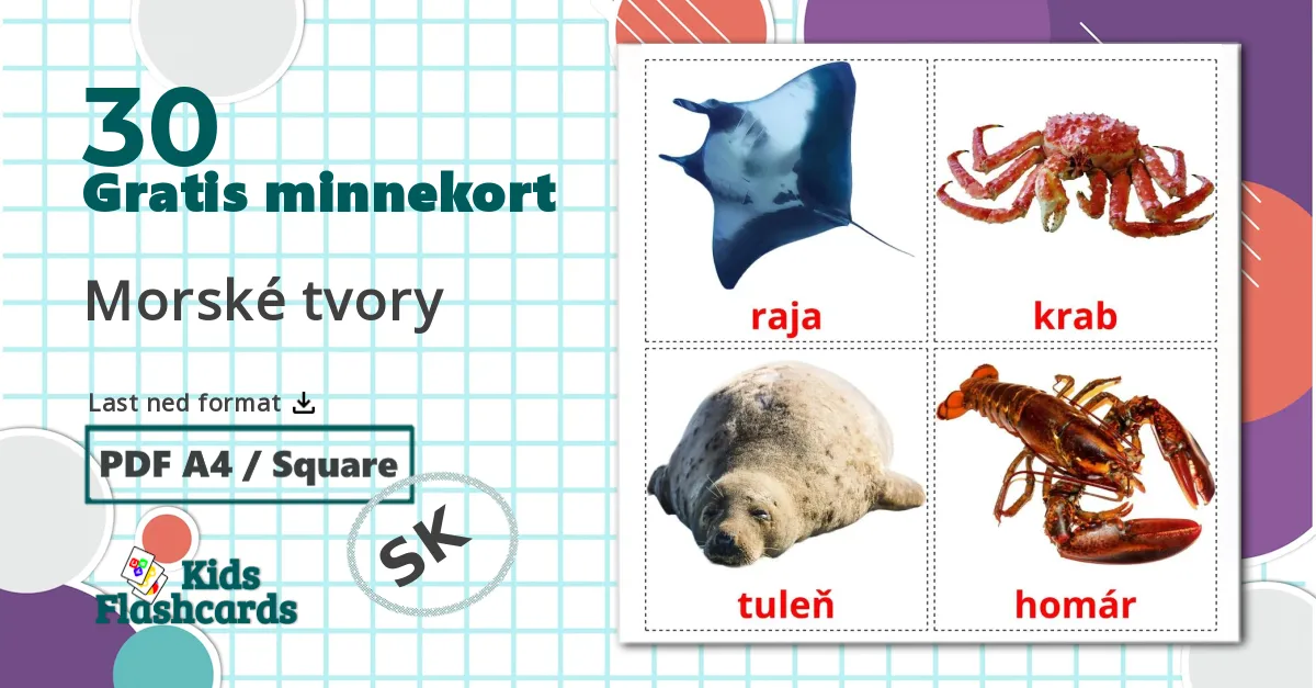 30 Morské tvory bildekort