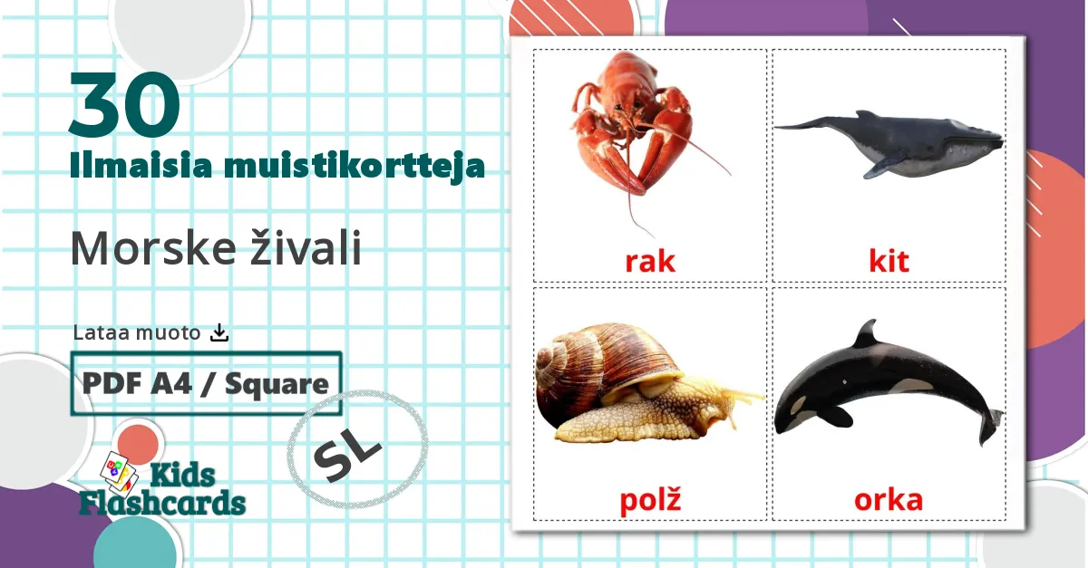 30 Morske živali lasten kuvakortit