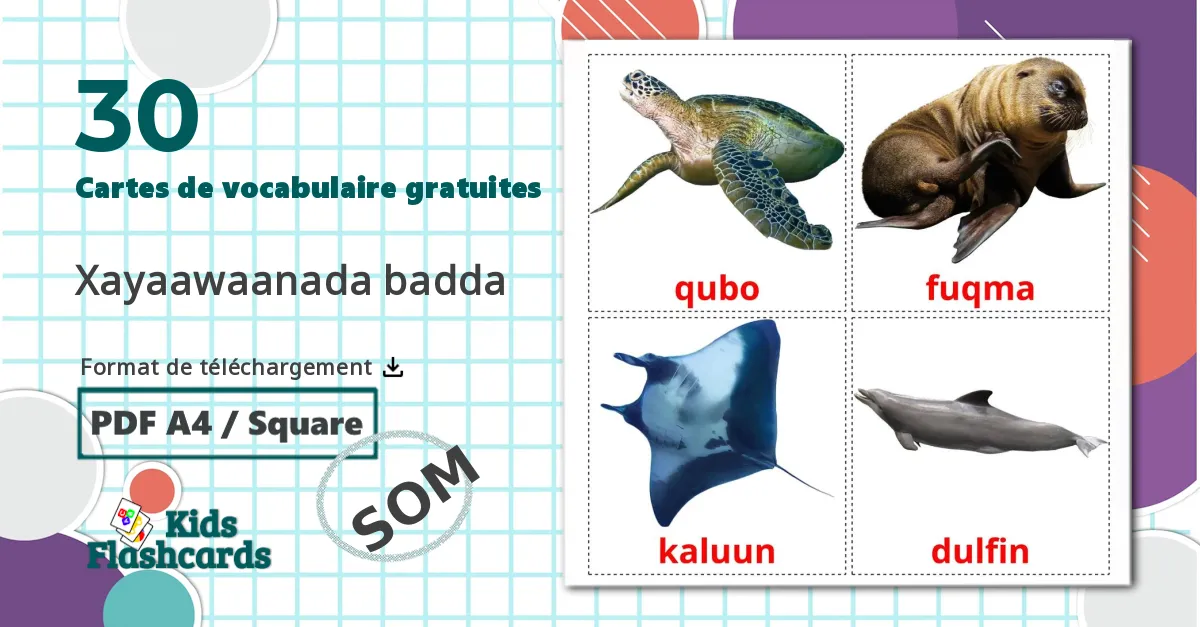 30 Imagiers Les Animaux Marins