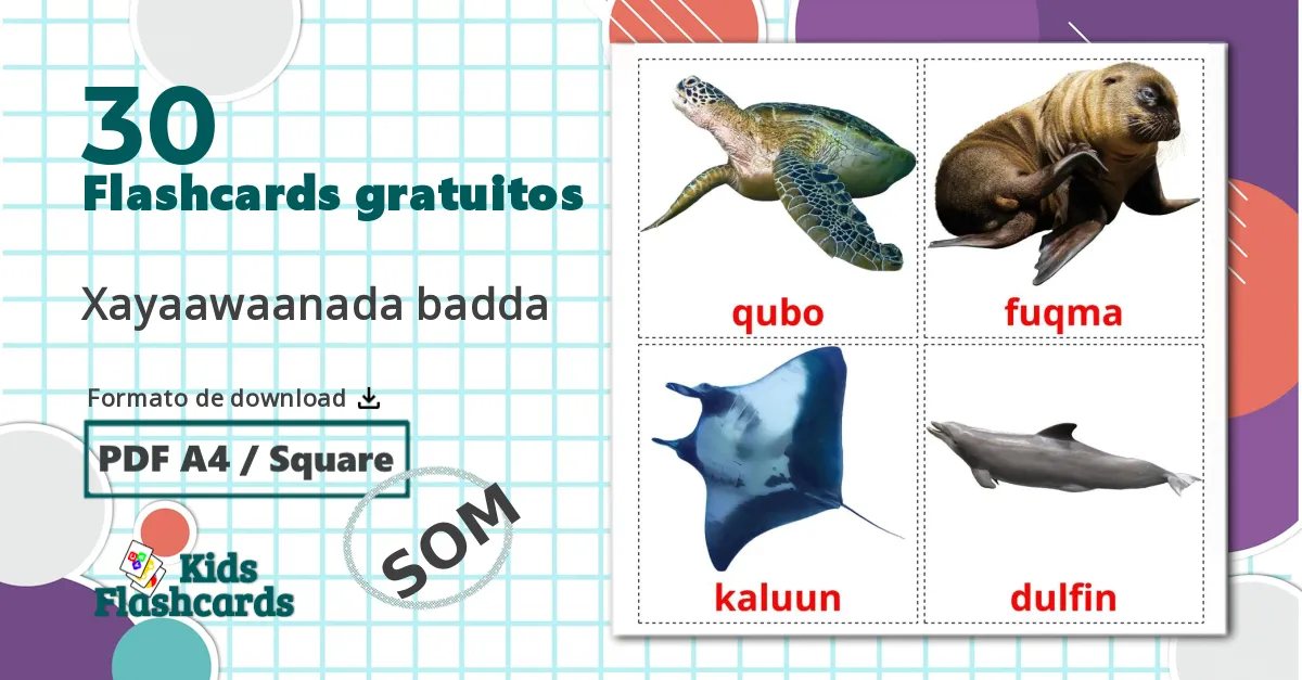 30 Flashcards de Animais Marinhos