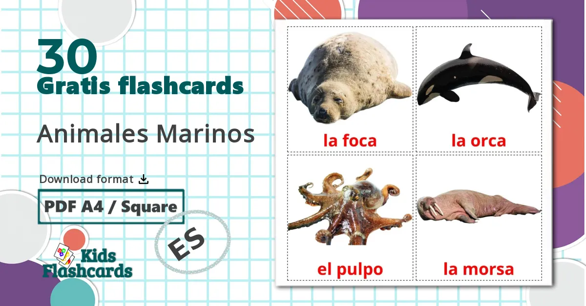 30 Animales Marinos billedkort for børn