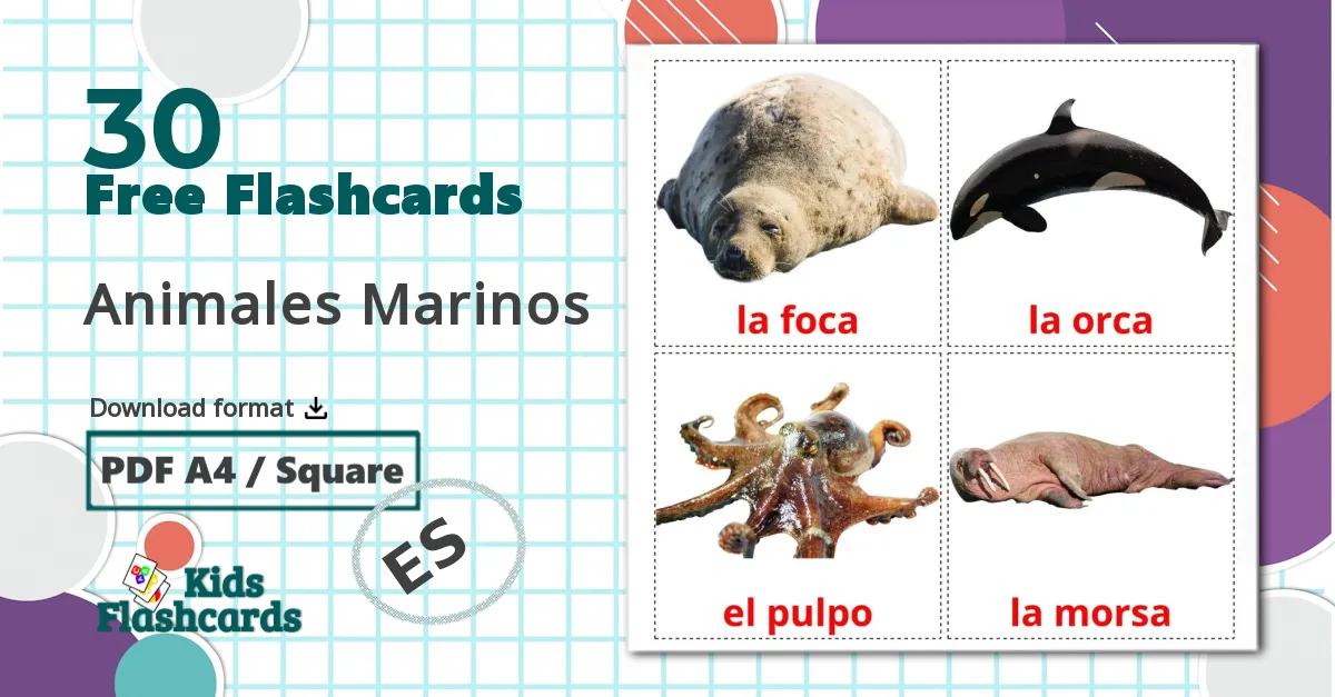 30 Sea animals flashcards