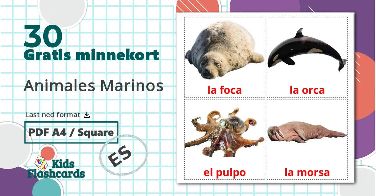 30 Animales Marinos bildekort