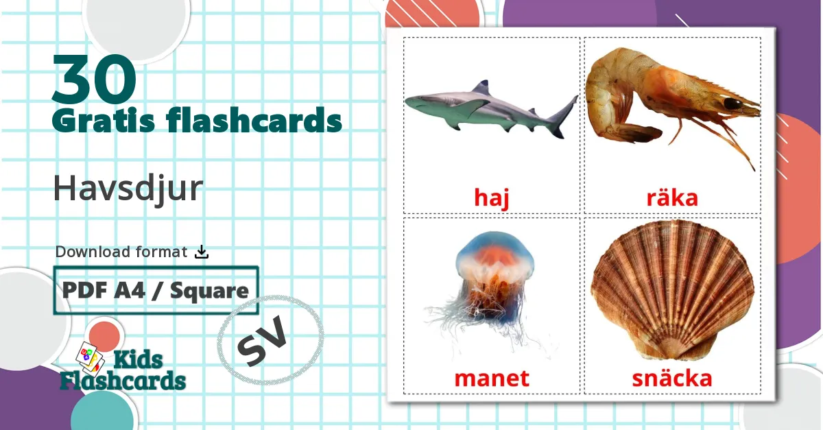 30 Havsdjur billedkort for børn