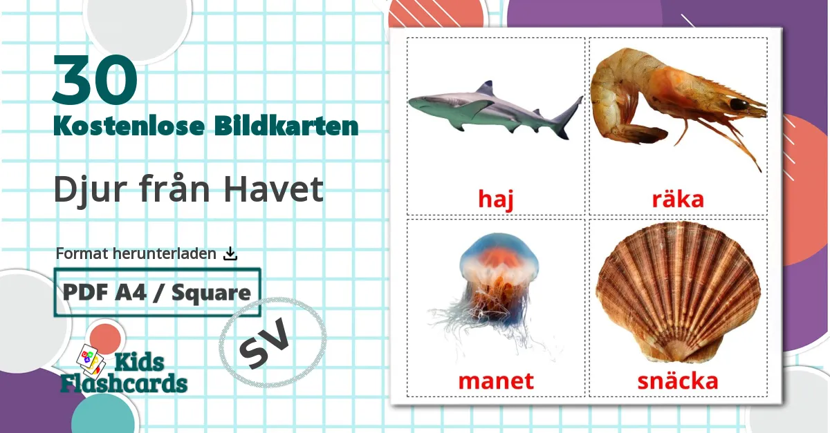 30 Bildkarten für Djur från Havet