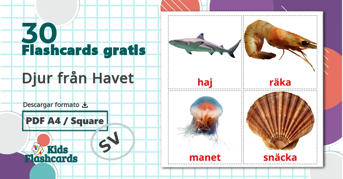 30 tarjetas didacticas de Djur från Havet