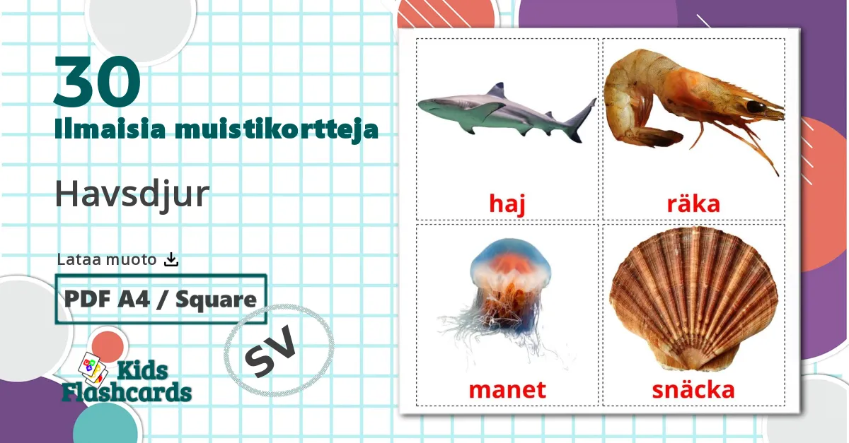 30 Havsdjur lasten kuvakortit