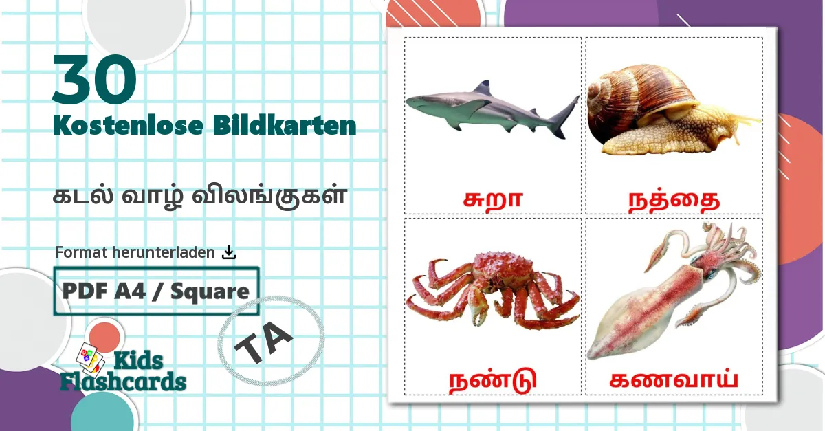 30 Bildkarten für கடல் வாழ் விலங்குகள்