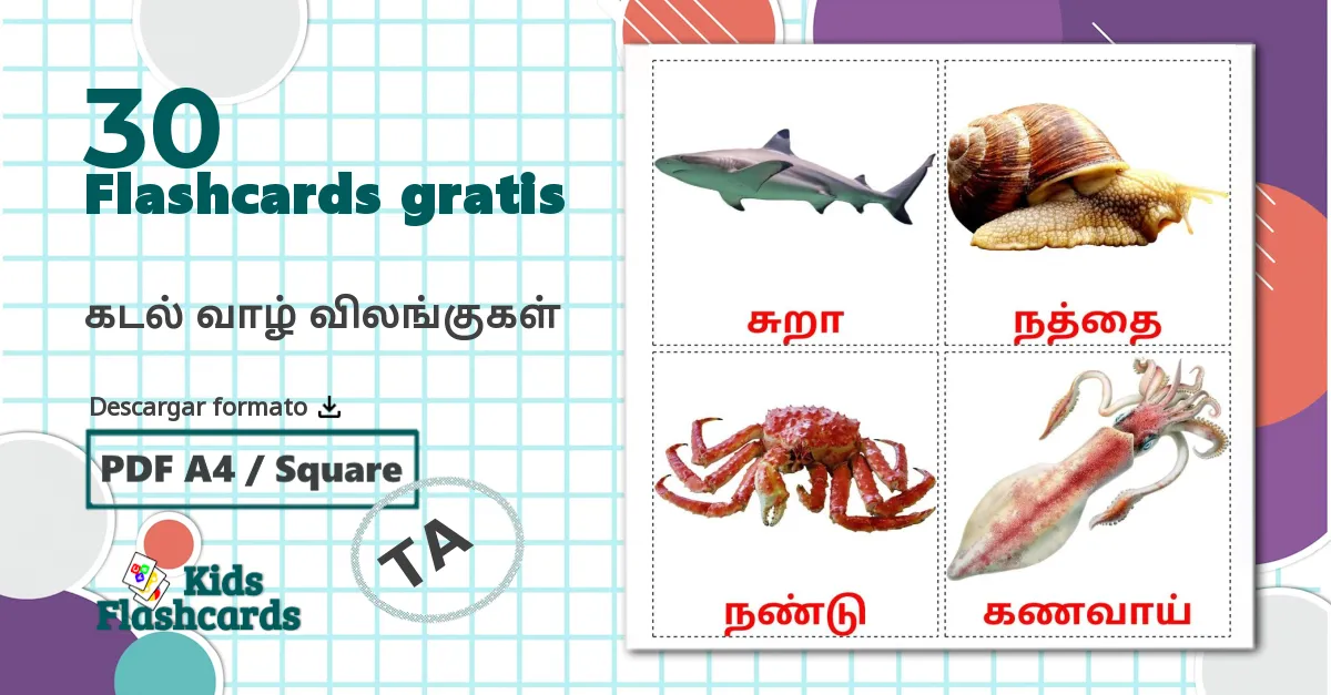 30 tarjetas didacticas de கடல் வாழ் விலங்குகள்