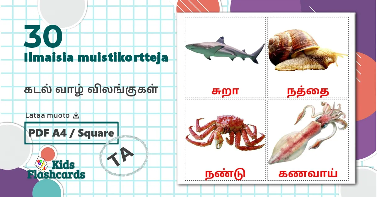 30 கடல் வாழ் விலங்குகள் lasten kuvakortit