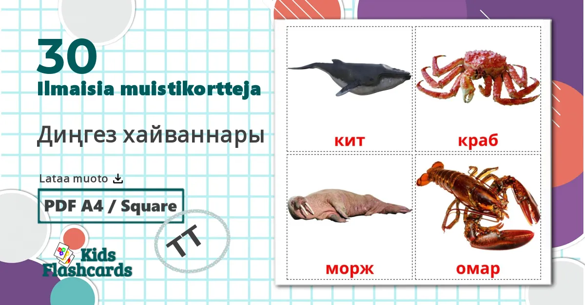 30 Диңгез хайваннары lasten kuvakortit