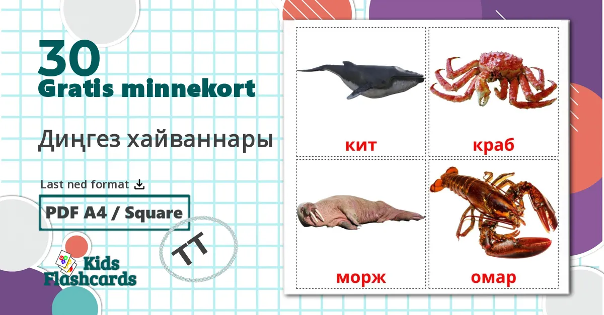 30 Диңгез хайваннары bildekort