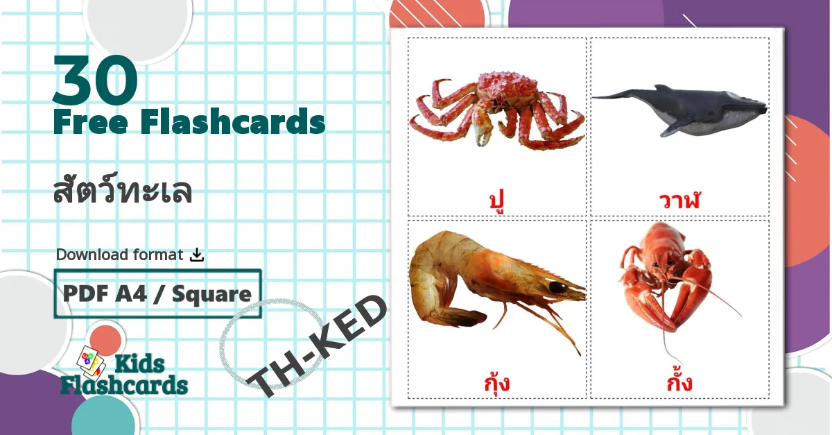 30 สัตว์ทะเล flashcards