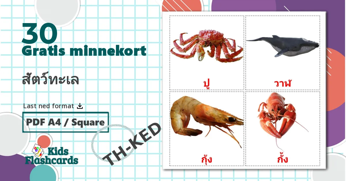 30 สัตว์ทะเล bildekort