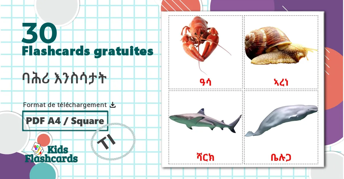 30 Imagiers Les Animaux Marins