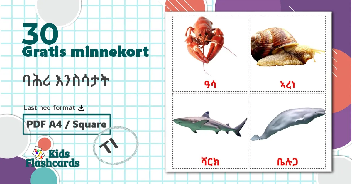 30 Sjødyr lasten kuvakortit