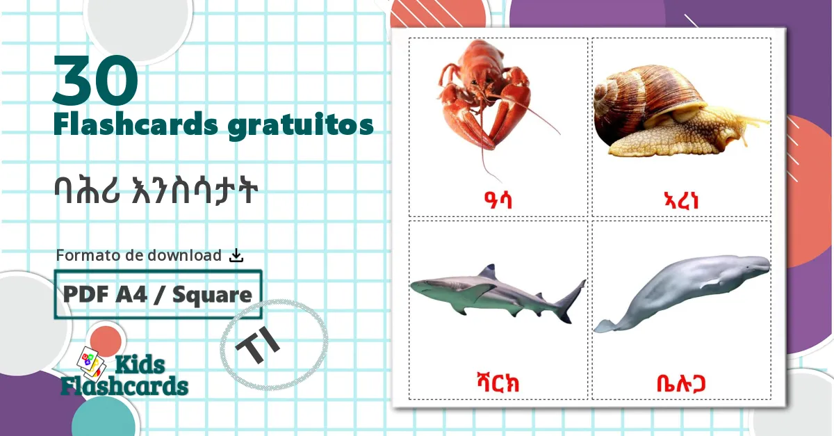 30 Flashcards de Animais Marinhos
