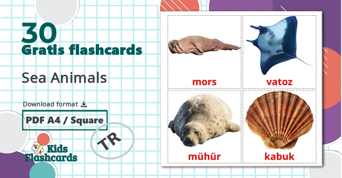 30 Sea Animals billedkort for børn