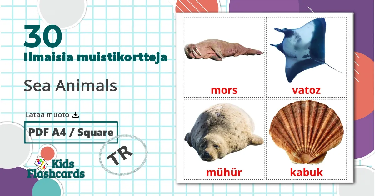 30 Sea Animals lasten kuvakortit