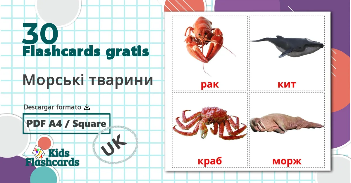 30 tarjetas didacticas de Морські тварини