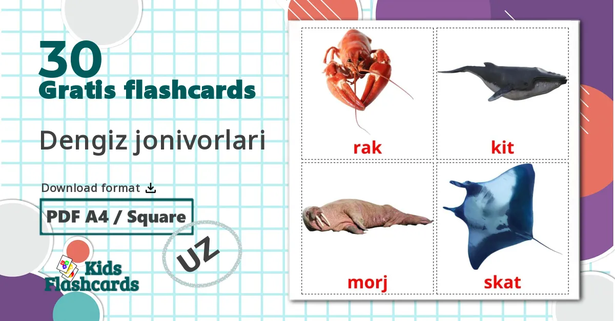 30 Dengiz jonivorlari billedkort for børn