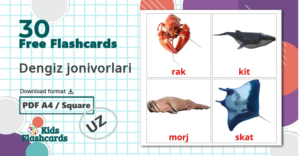 30 Dengiz jonivorlari flashcards