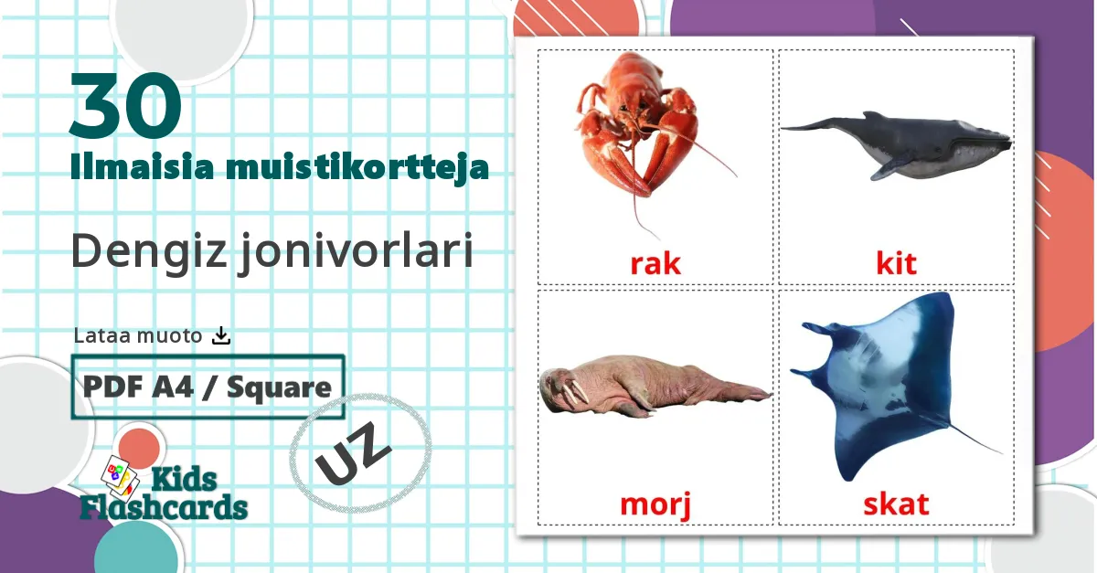 30 Dengiz jonivorlari lasten kuvakortit