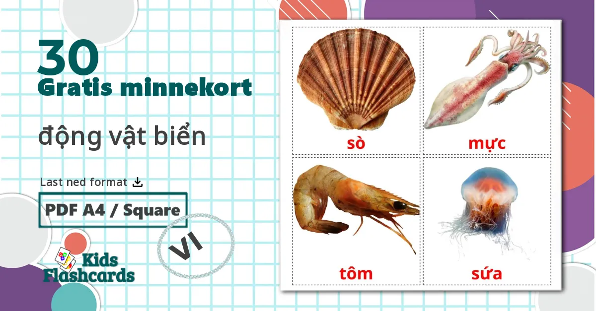30 động vật biển bildekort