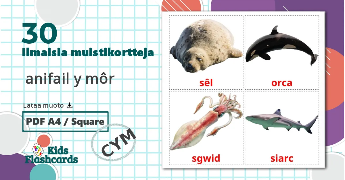30  anifail y môr lasten kuvakortit