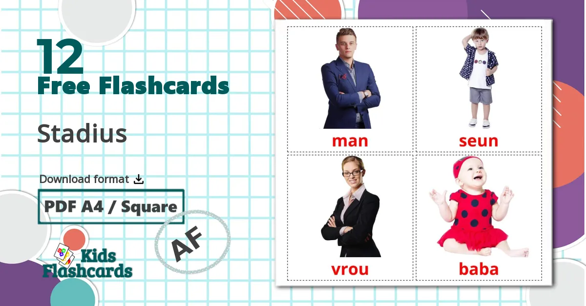 12 Stadius flashcards