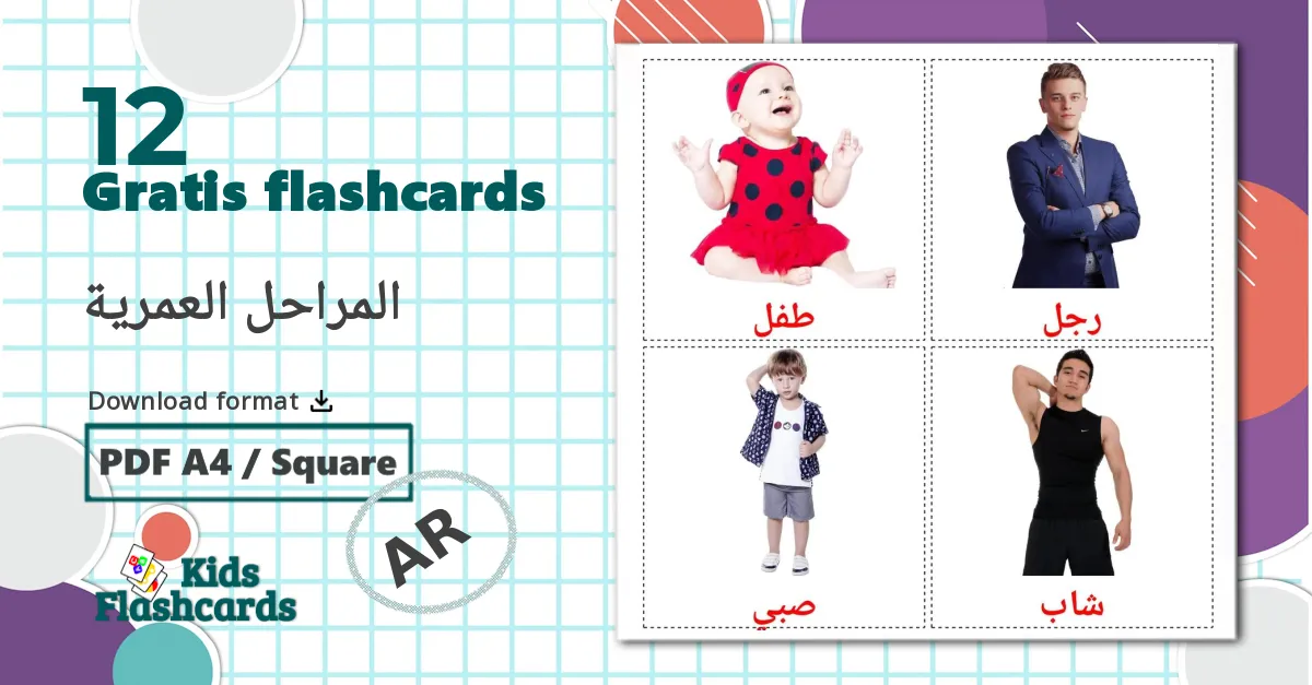 Livsfaser - arabisk ordforrådskort