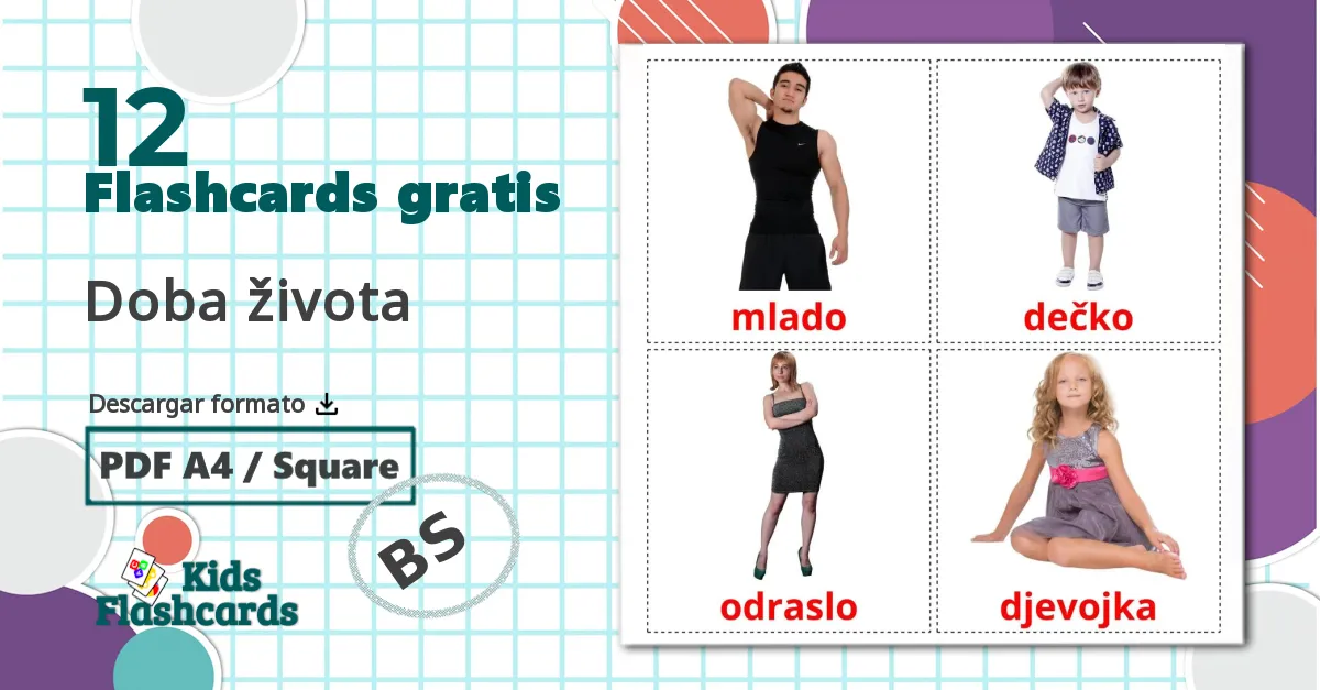 12 tarjetas didacticas de Doba života